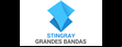 Stingray Grandes Bandas